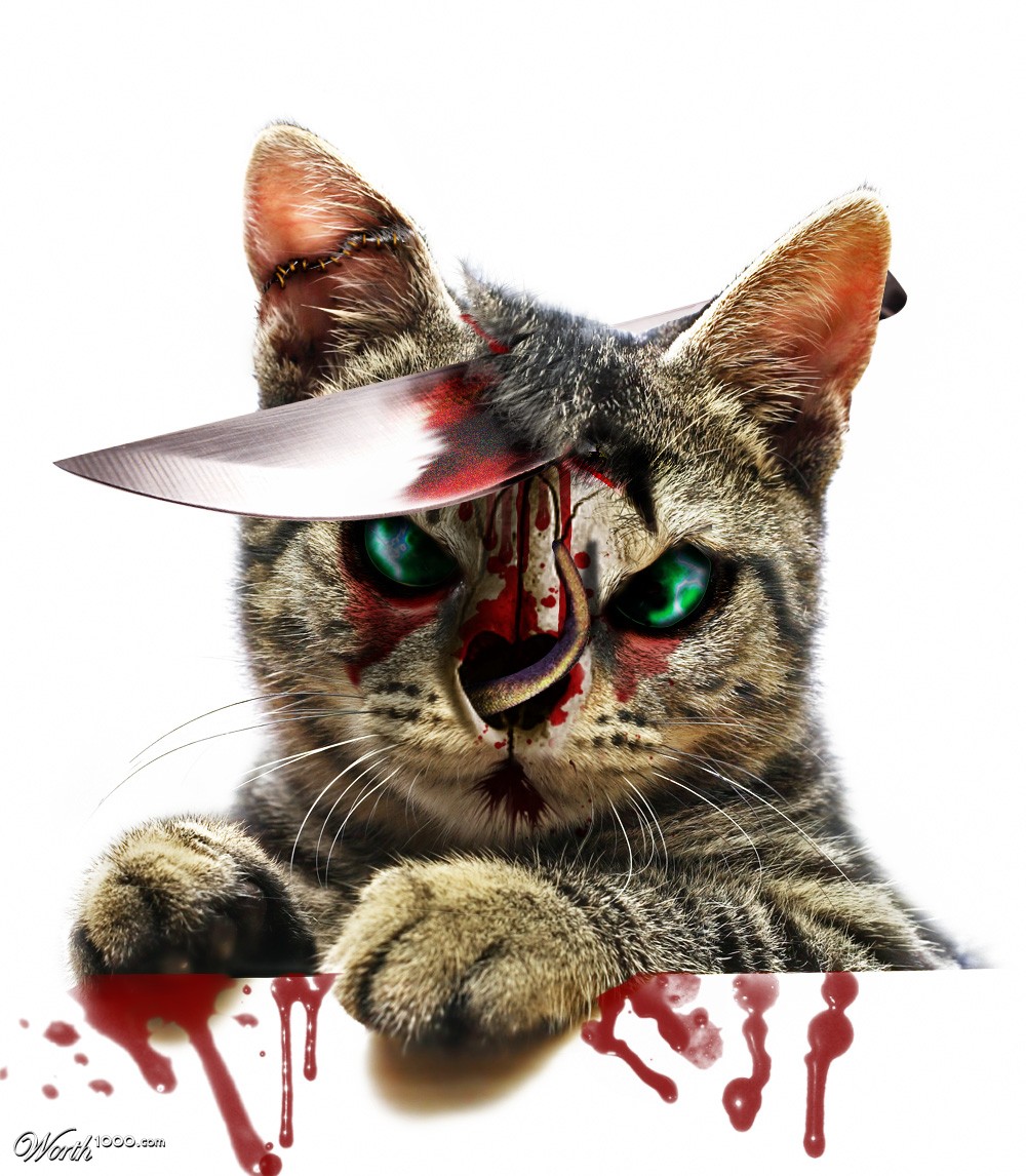 Cat Zombie