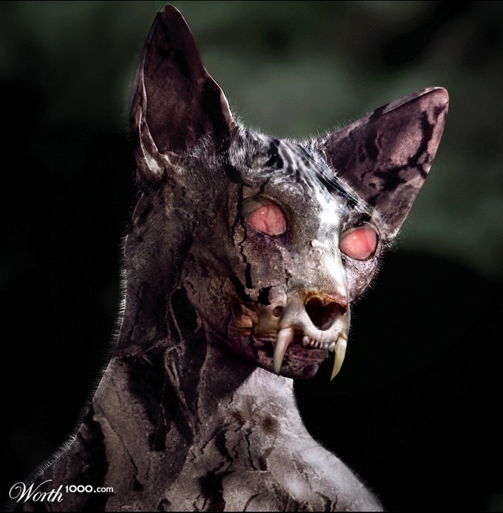 Zombie cat