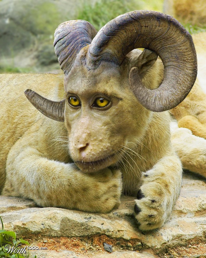 Horned Beast