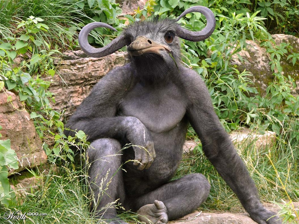 Gorostruffalo