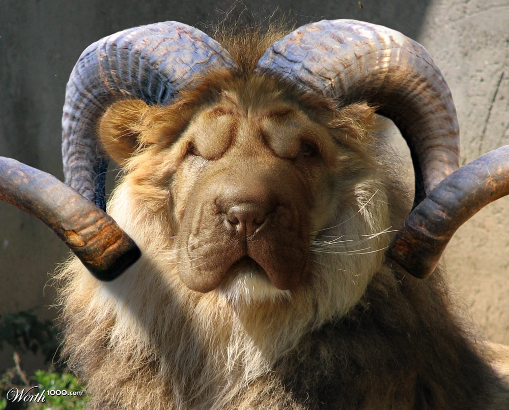 Lion-Dog-Goat