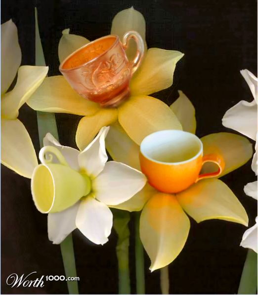tea cups