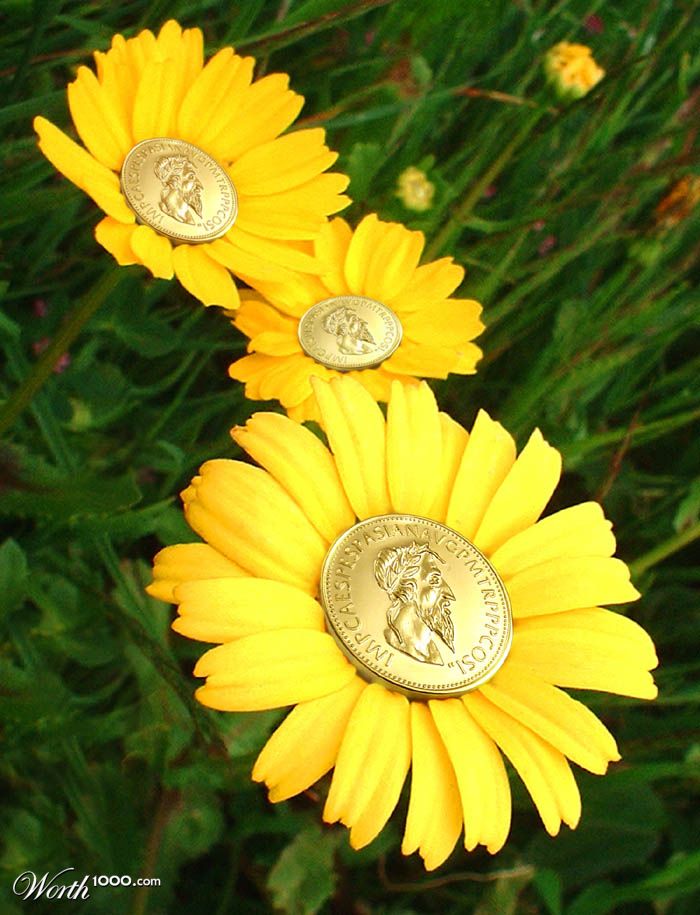 Coin Flowers