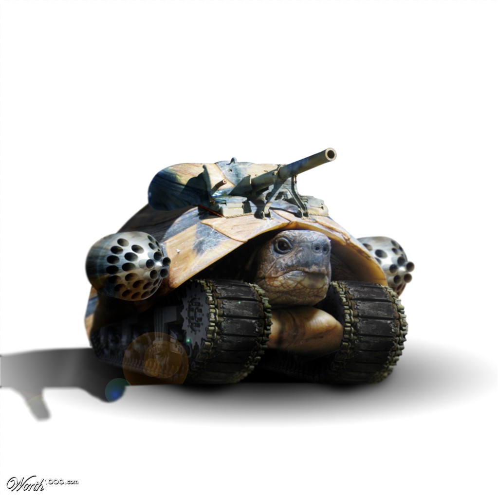 Turtle Tank