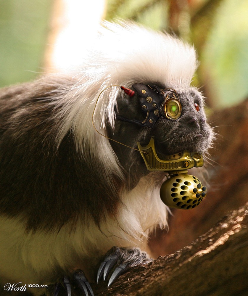 Tamarinator
