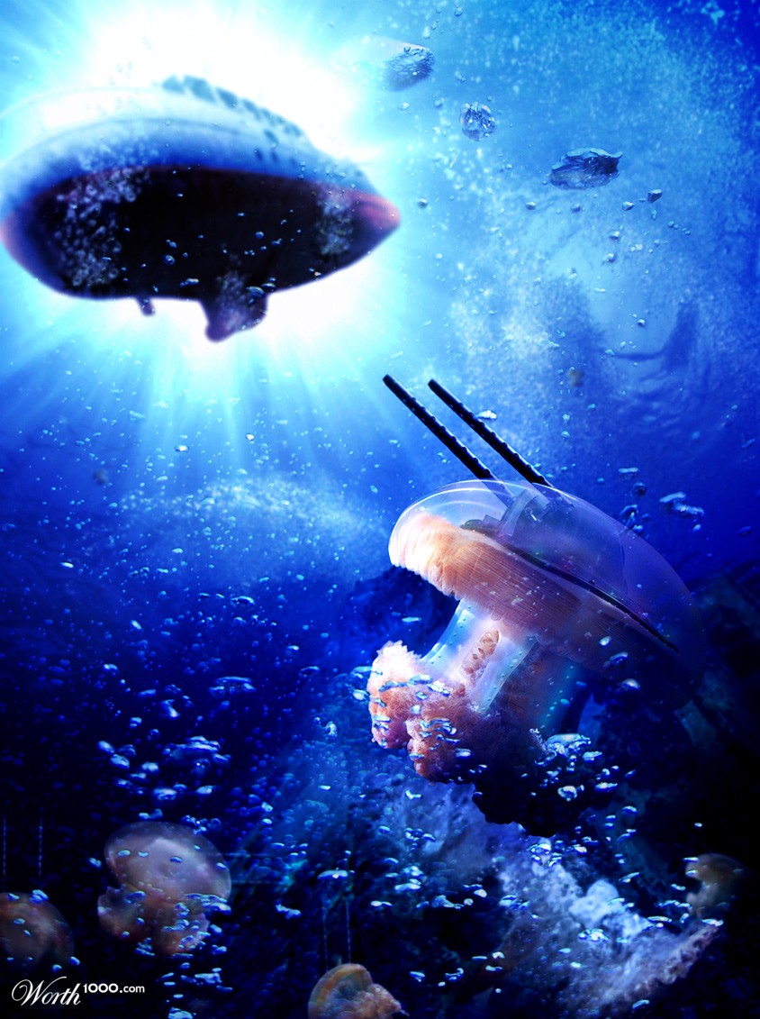 Jellyfish