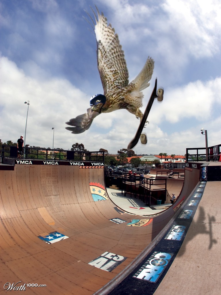 Tony Hawk