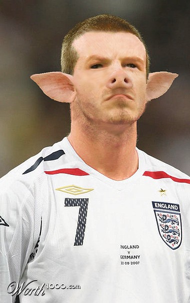 David BeckHAM