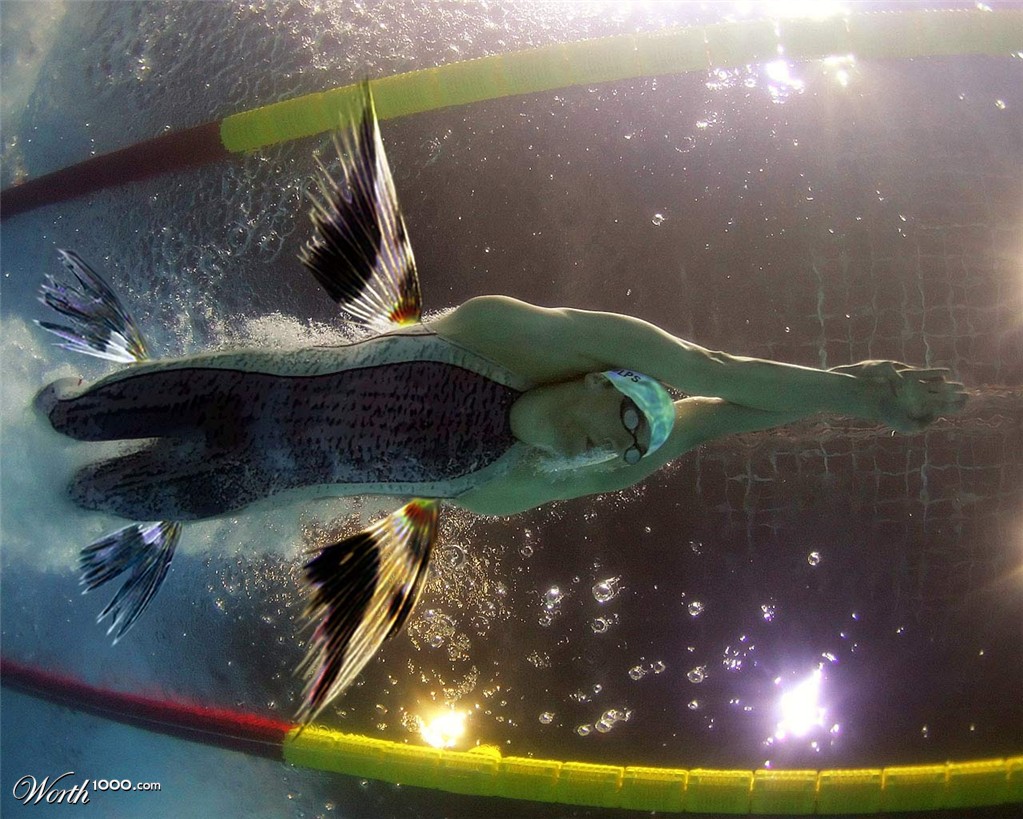 Flying Fish Phelps