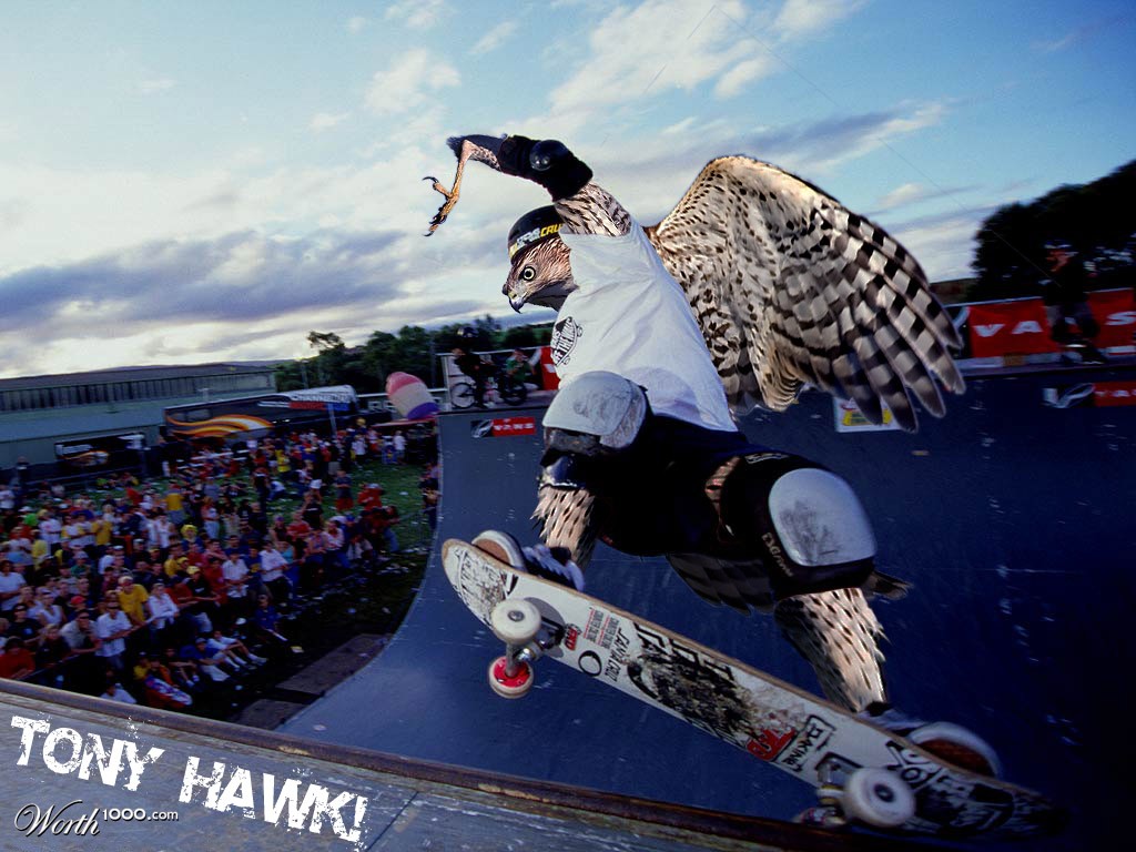 Tony HAWK!