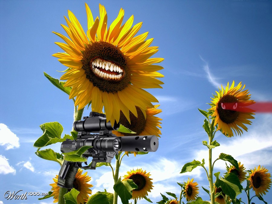 Sunflowers Revenge
