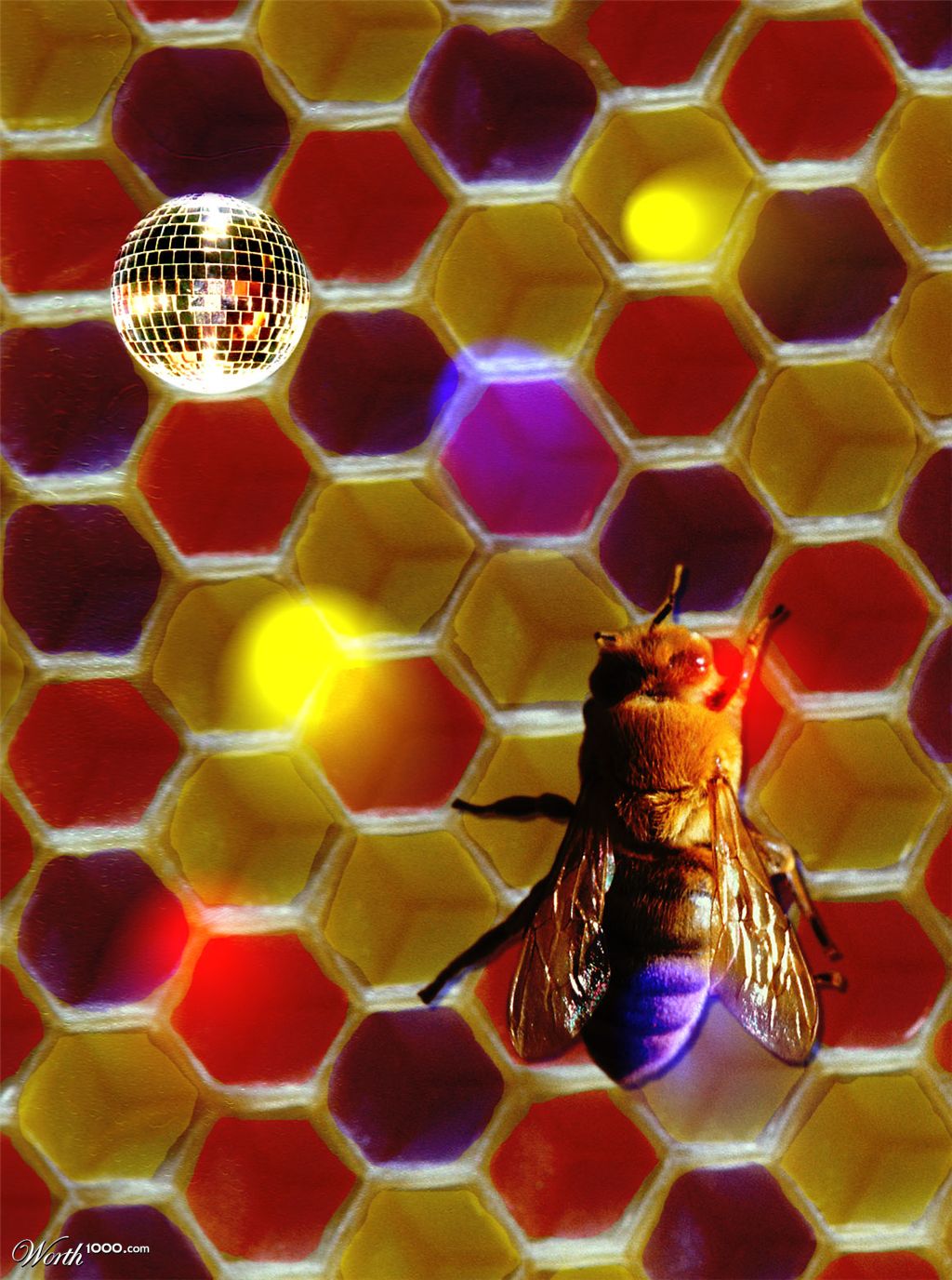 Disco Bee