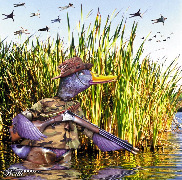quack attack