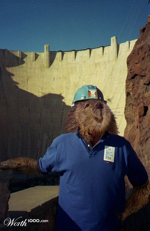 Leave It to Beavers