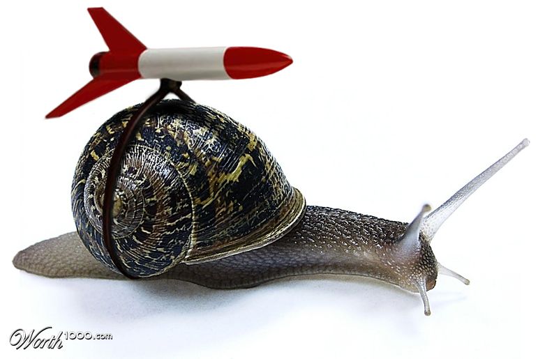 Snail dream