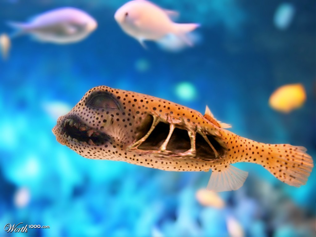 Monster fish