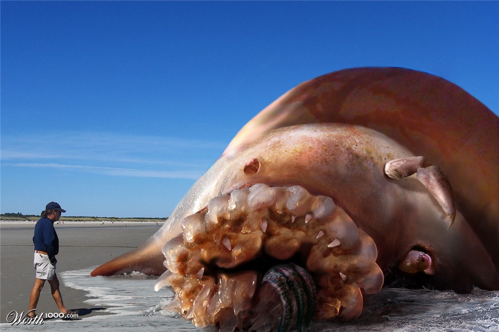 Dead Leviathan