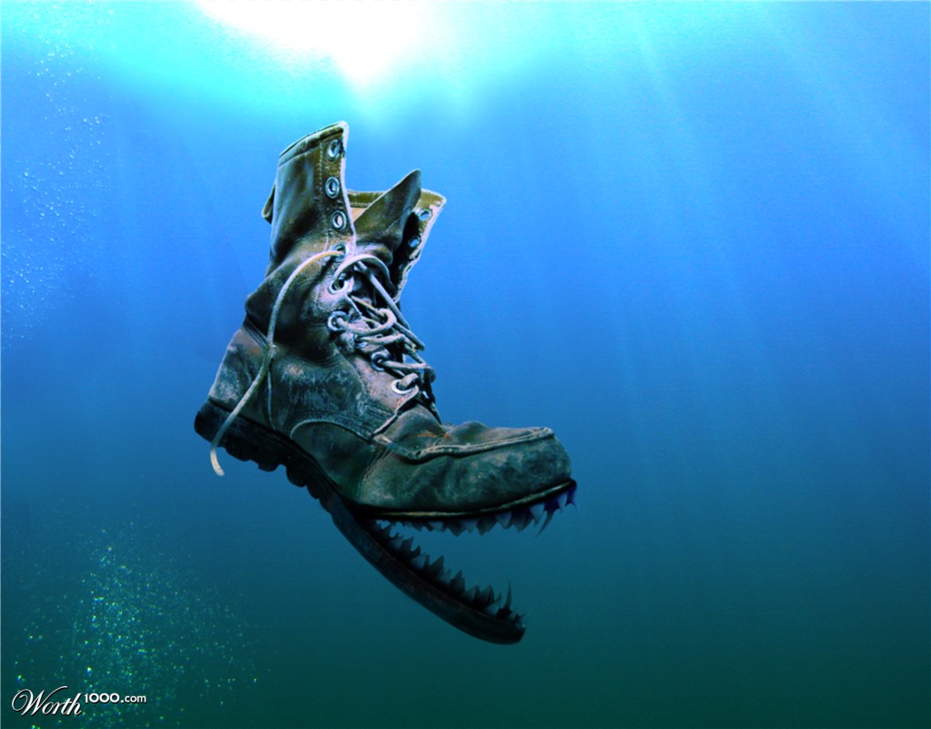 bootshark