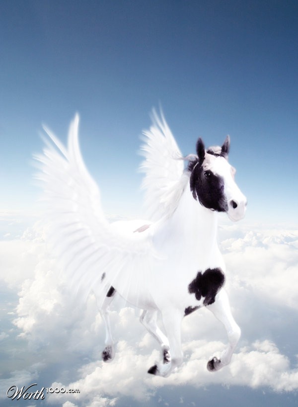 Flight