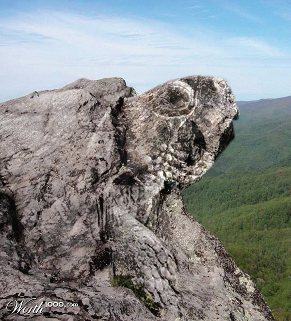 Rock-head turtle
