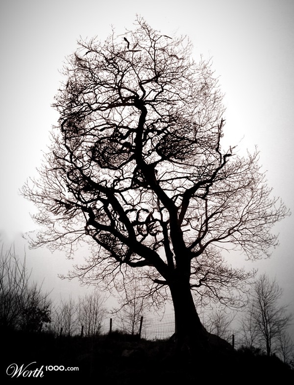 Tree of Death