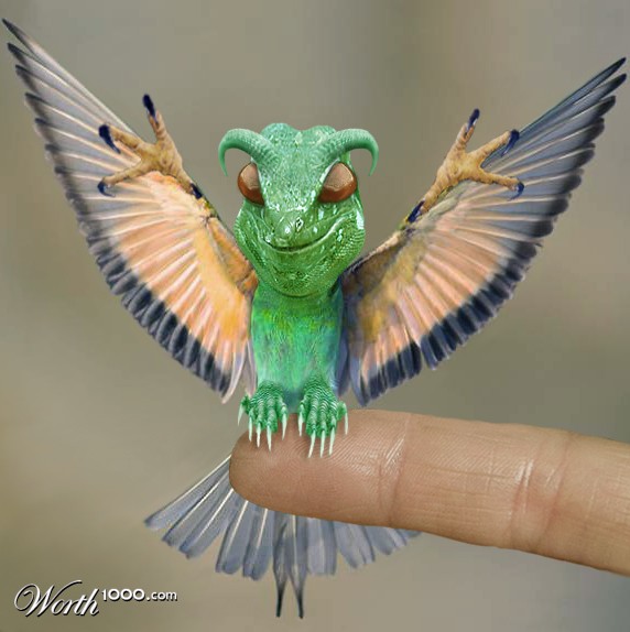 Draco