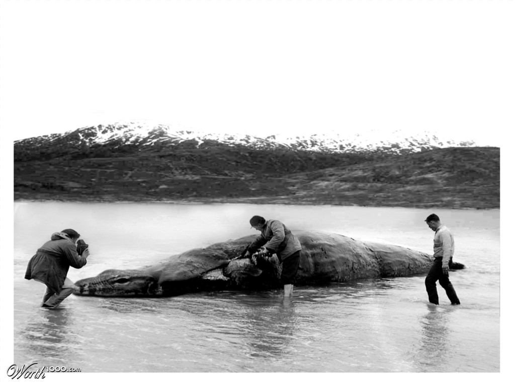 Loch ness monster caught