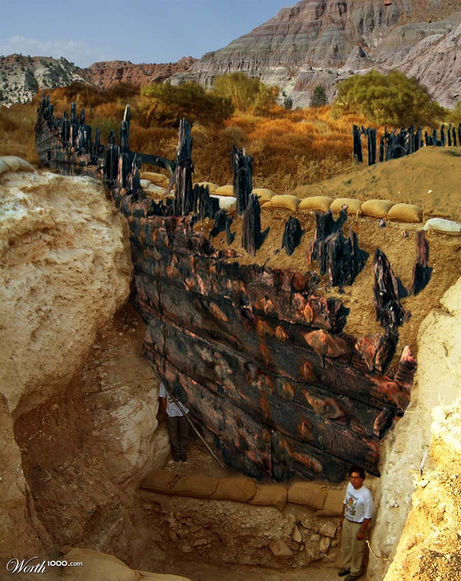The Ark