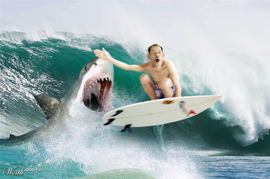 MASTER SURFER
