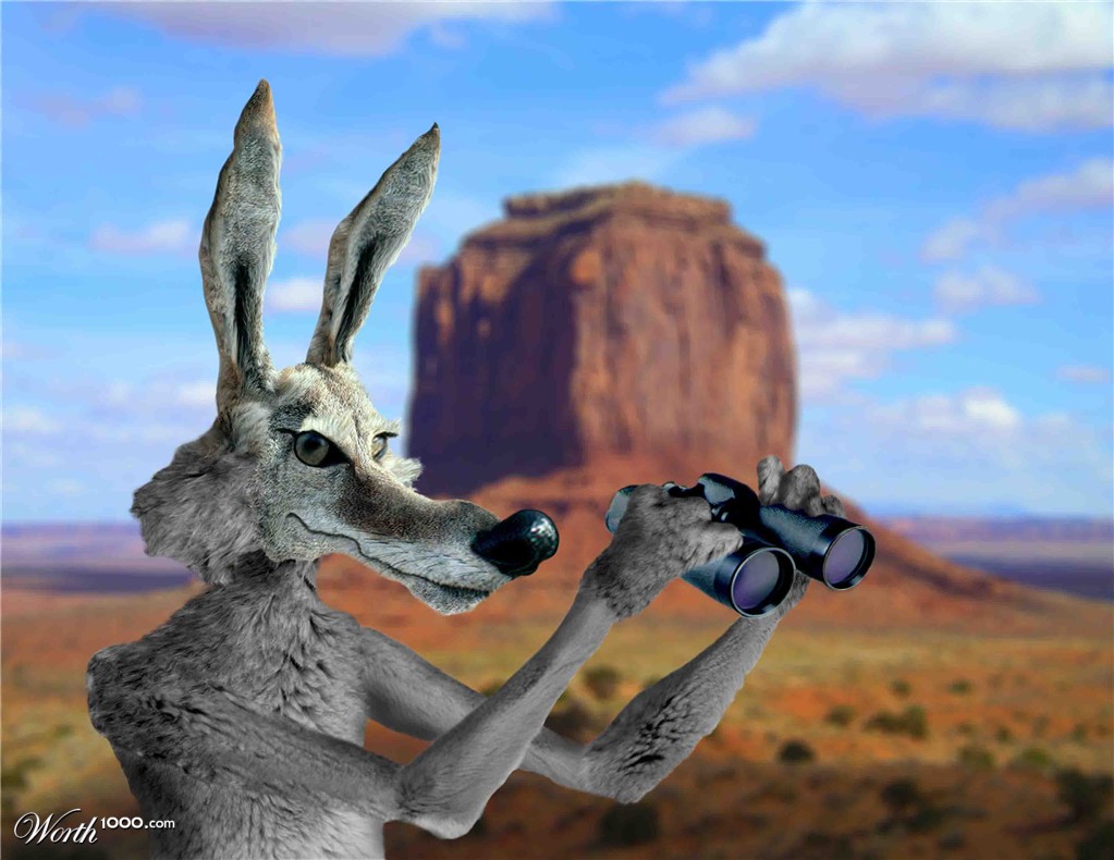 Wile E. Coyote