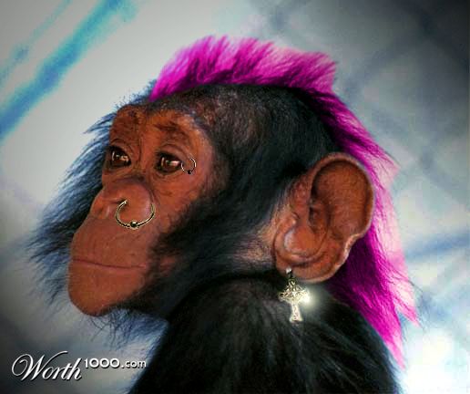 Chimp Rocker