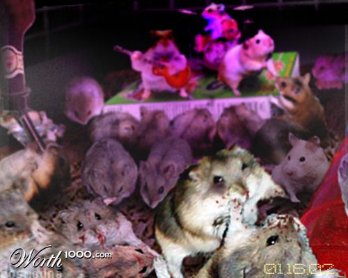 Hamster Bar Brawl