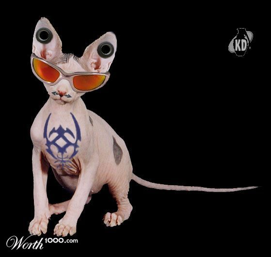 Son of Uglycat