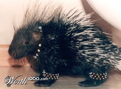 Spike