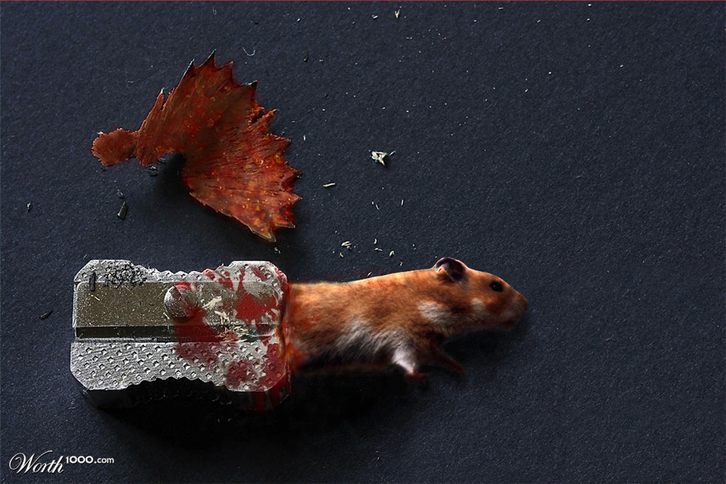 Hamster Sharpener