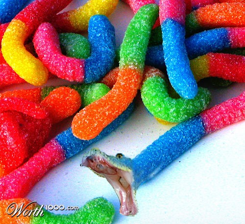 Gummy Snake