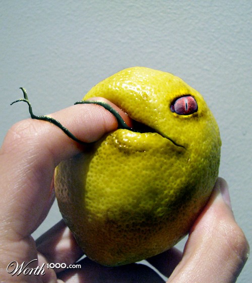 Chomp