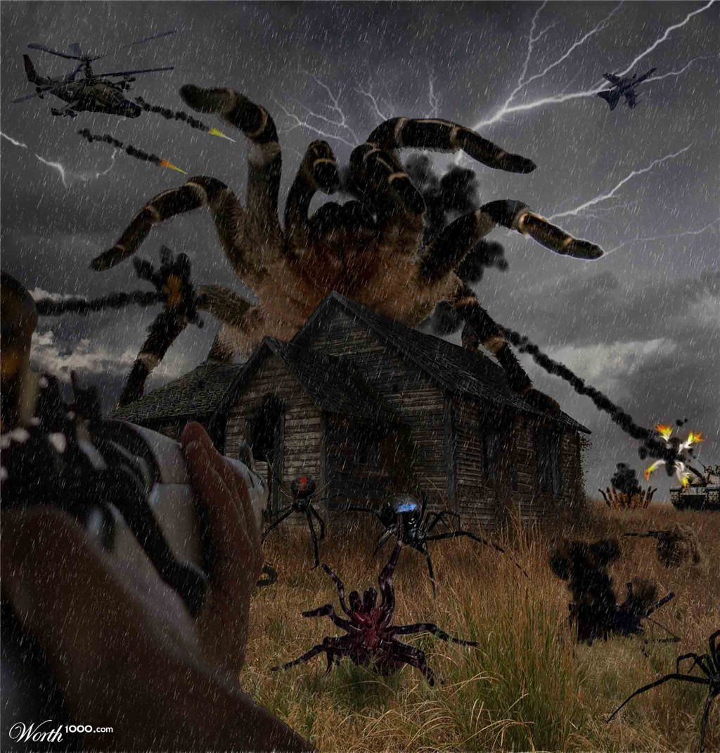 Spider attack
