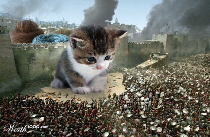 Angry Kitty