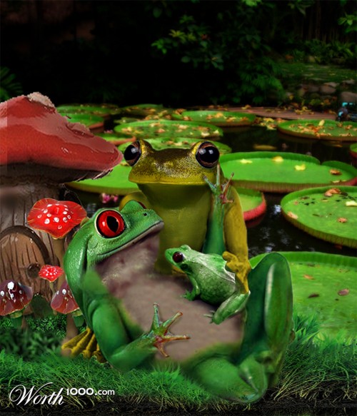 Frog Family
