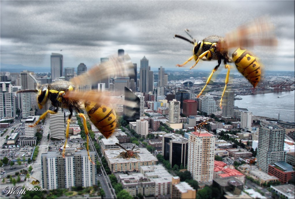 Swarm City