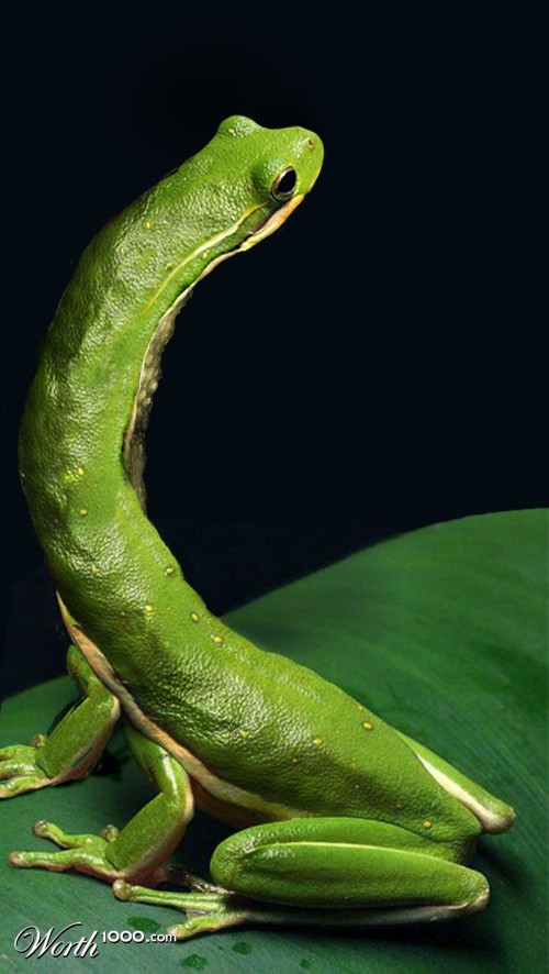 Mutant Frog