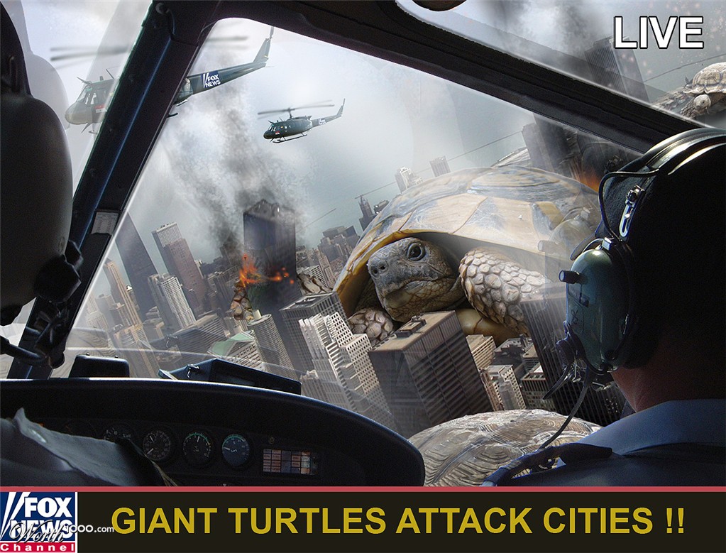 turtle attack
