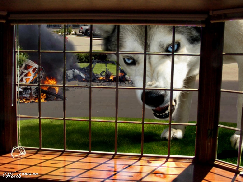 Bad Dog