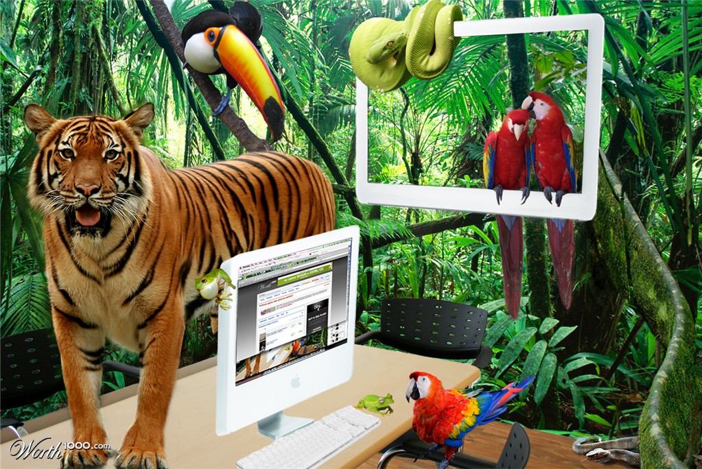 welcome to the jungle