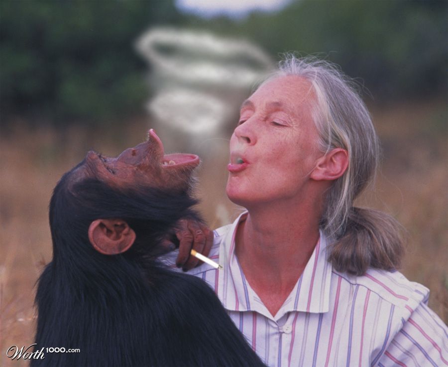 Smoking monkey