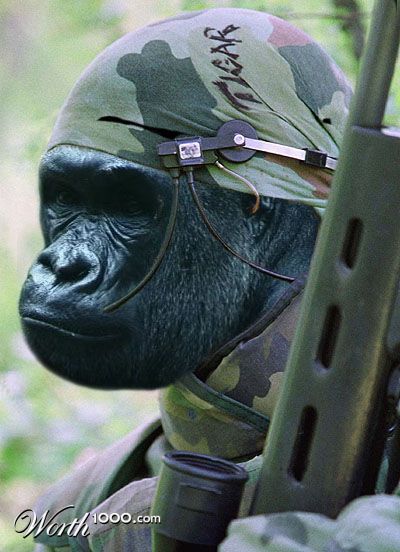 "Gorilla" Warfare