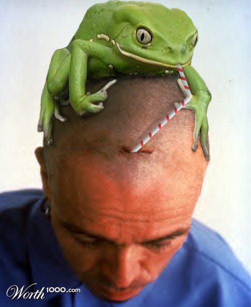 Spicybrain Frog