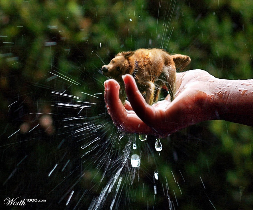 HandDog
