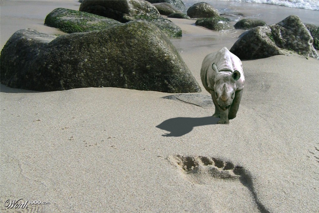 Beach Rhino